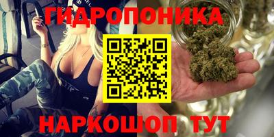apvp Краснознаменск