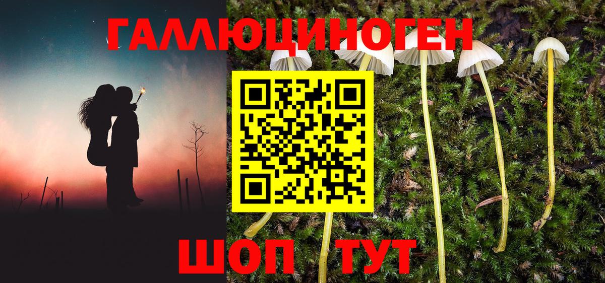 Галлюциногенные грибы Cubensis Клин