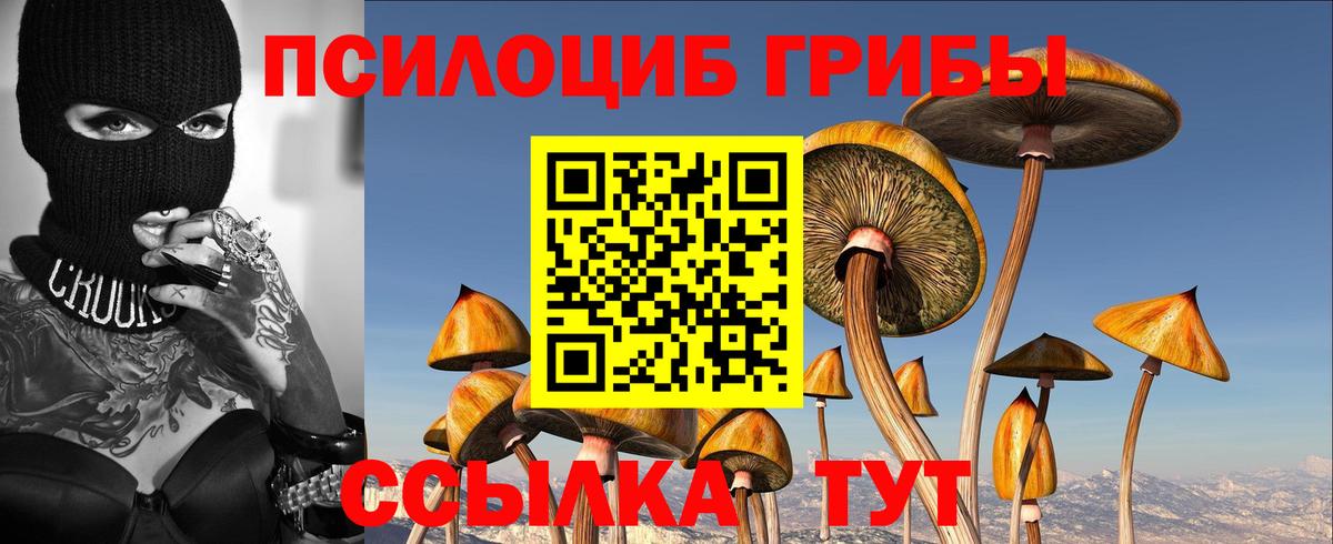 Псилоцибиновые грибы Psilocybine cubensis  Вход с VPN  наркотики  Клин 